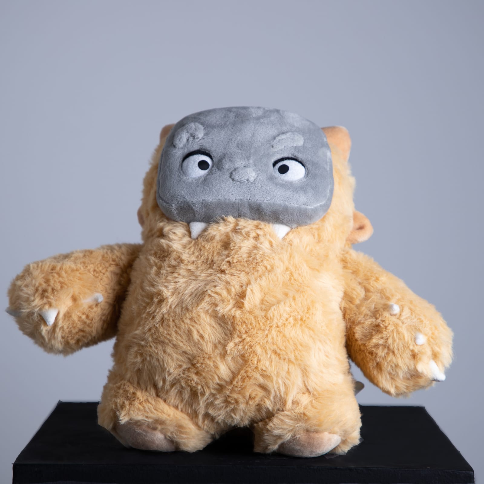 John Medina, "Peluche café", 2024