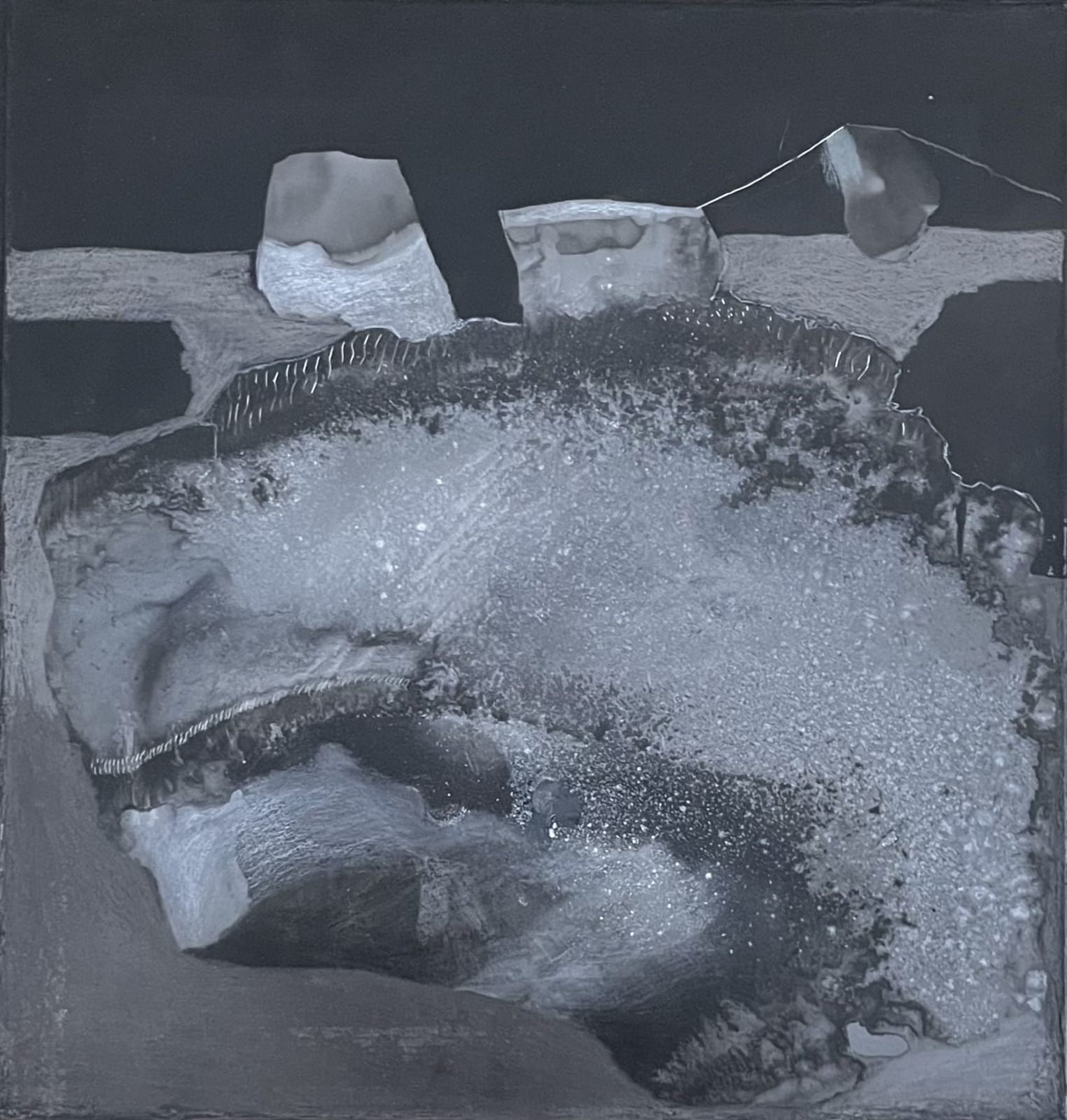 Elizabeth Carrillo, "Naturaleza metálica 6", 2024