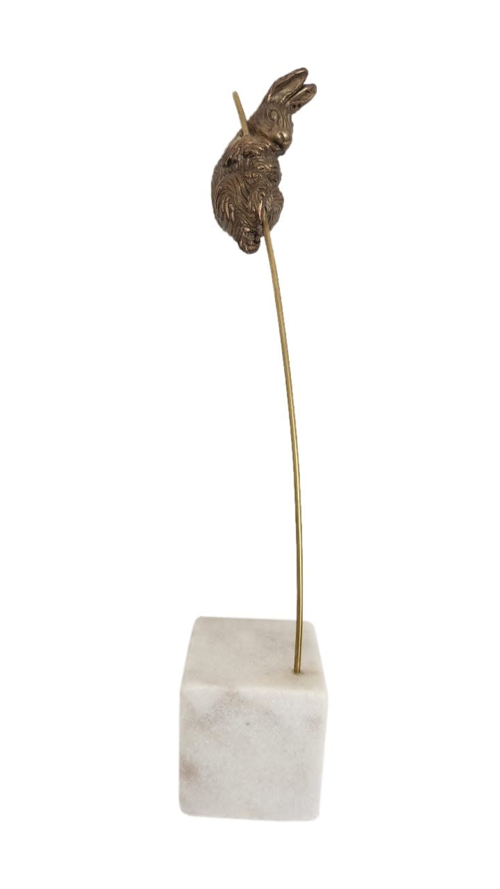 Enrique Morett, "Conejo espía", 2024