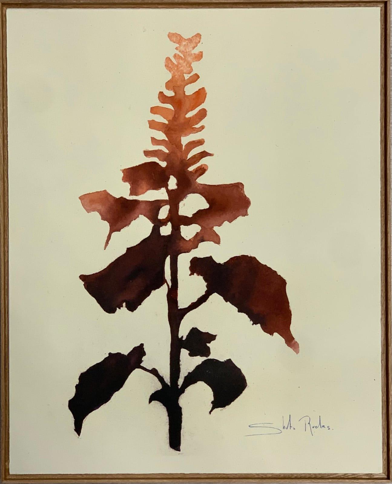 Shuta Ruelas, "Naturaleza 1", 2025