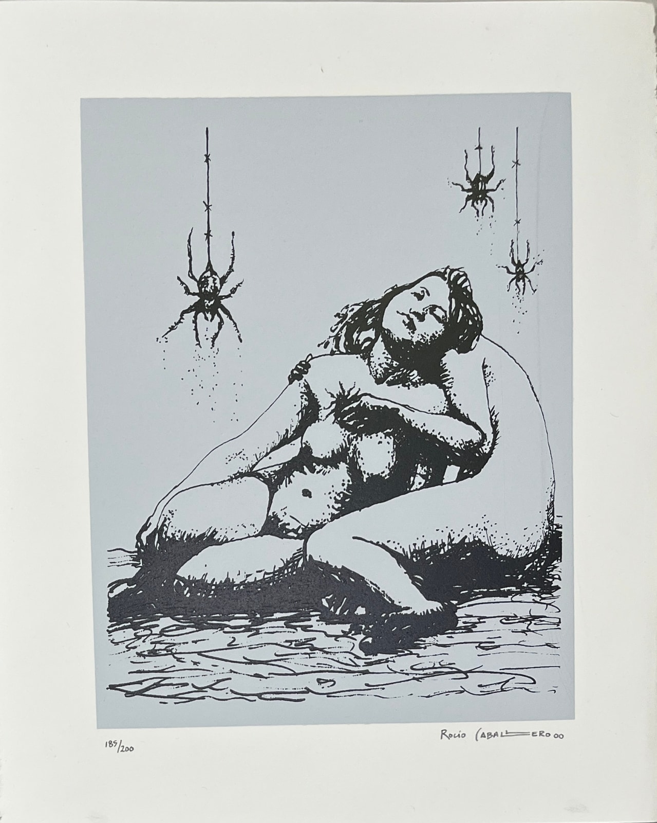 Rocío Caballero, "Alas para crear" (carpeta completa), 2000