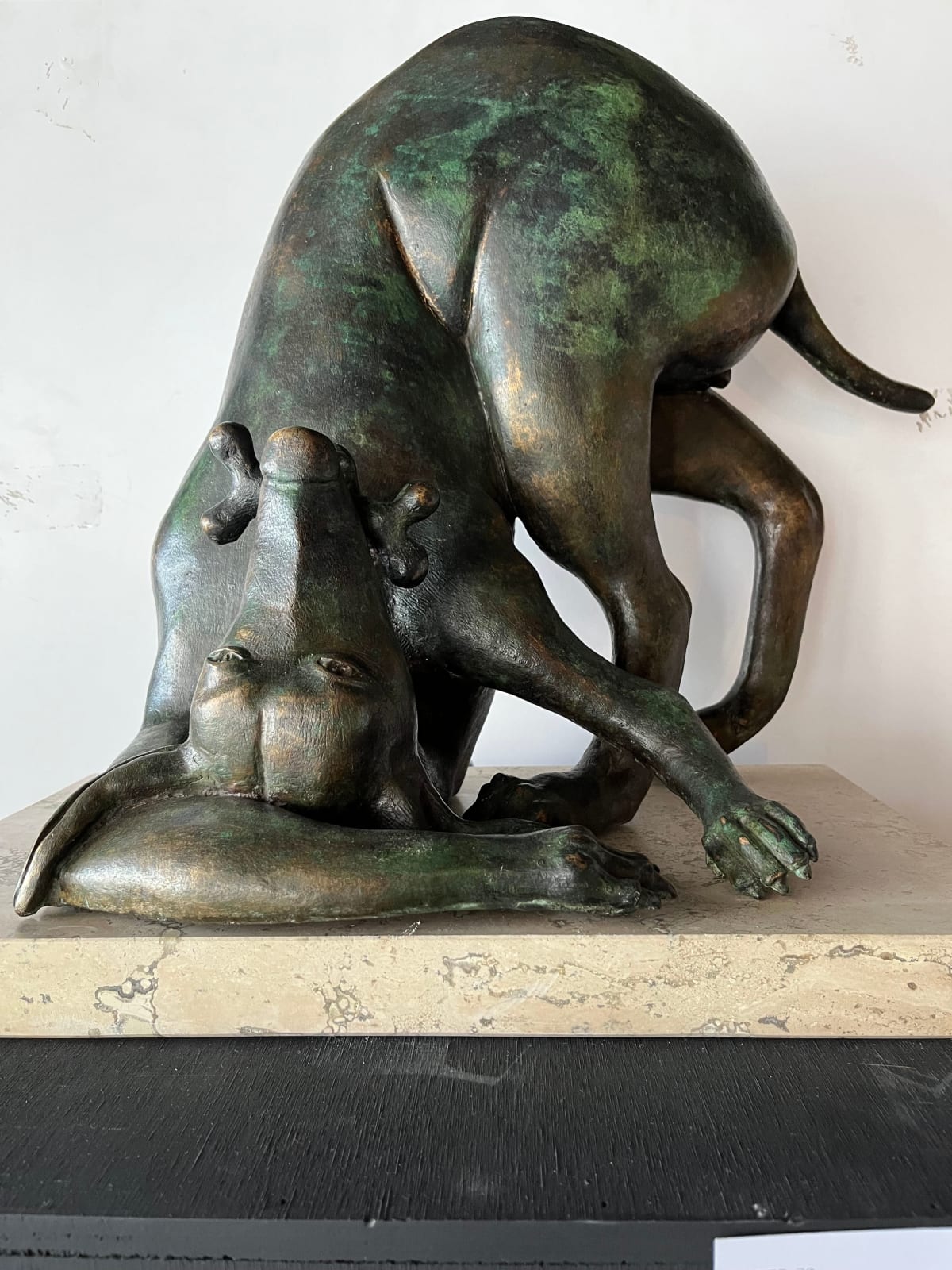 Luis Valsoto, Perro con dolor de espala, 2015