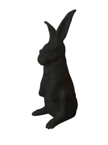 Sofía Crimen, "Conejo negro", 2023