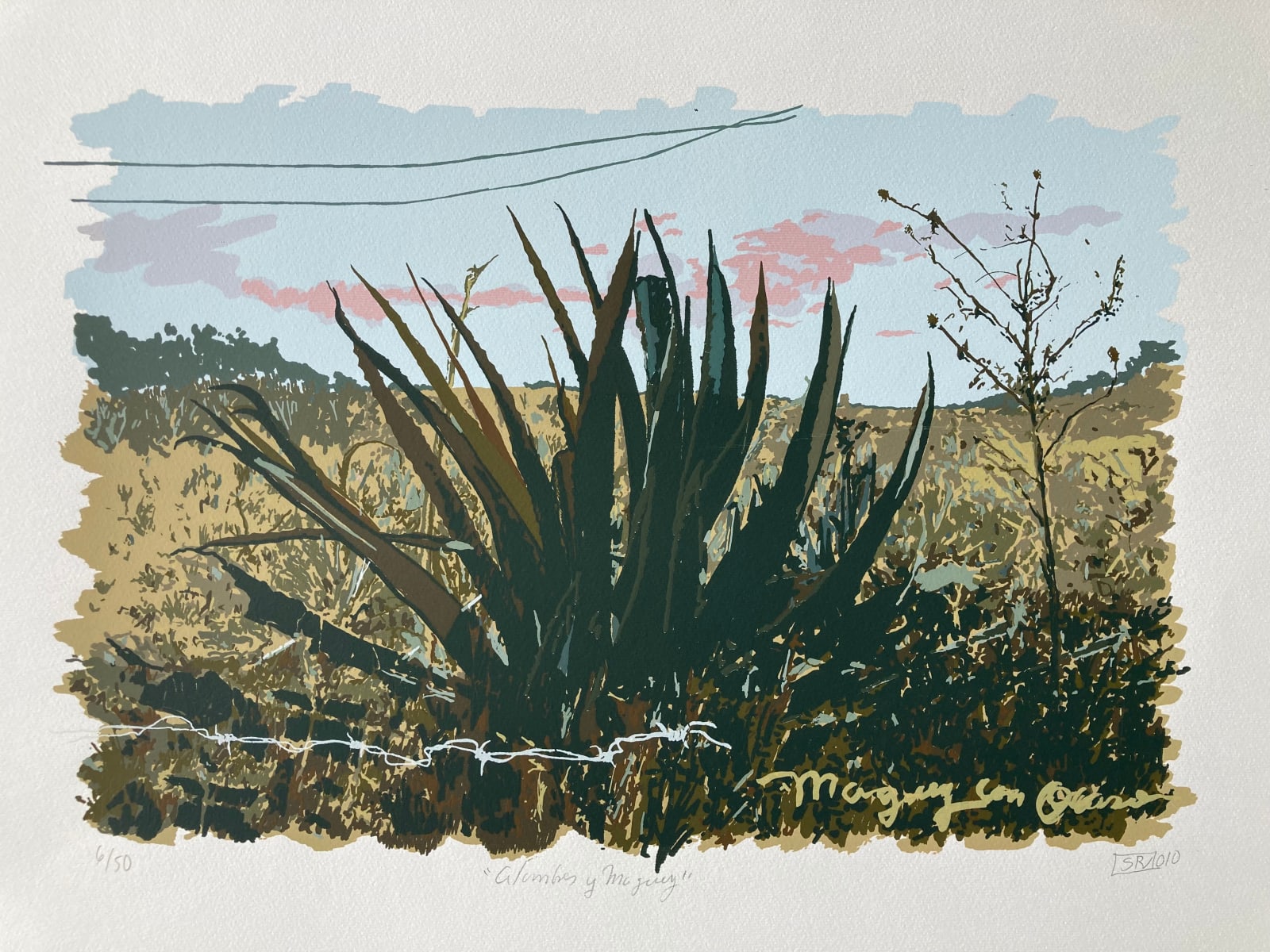 Salvador Rodríguez, Alambres y maguey, 2010