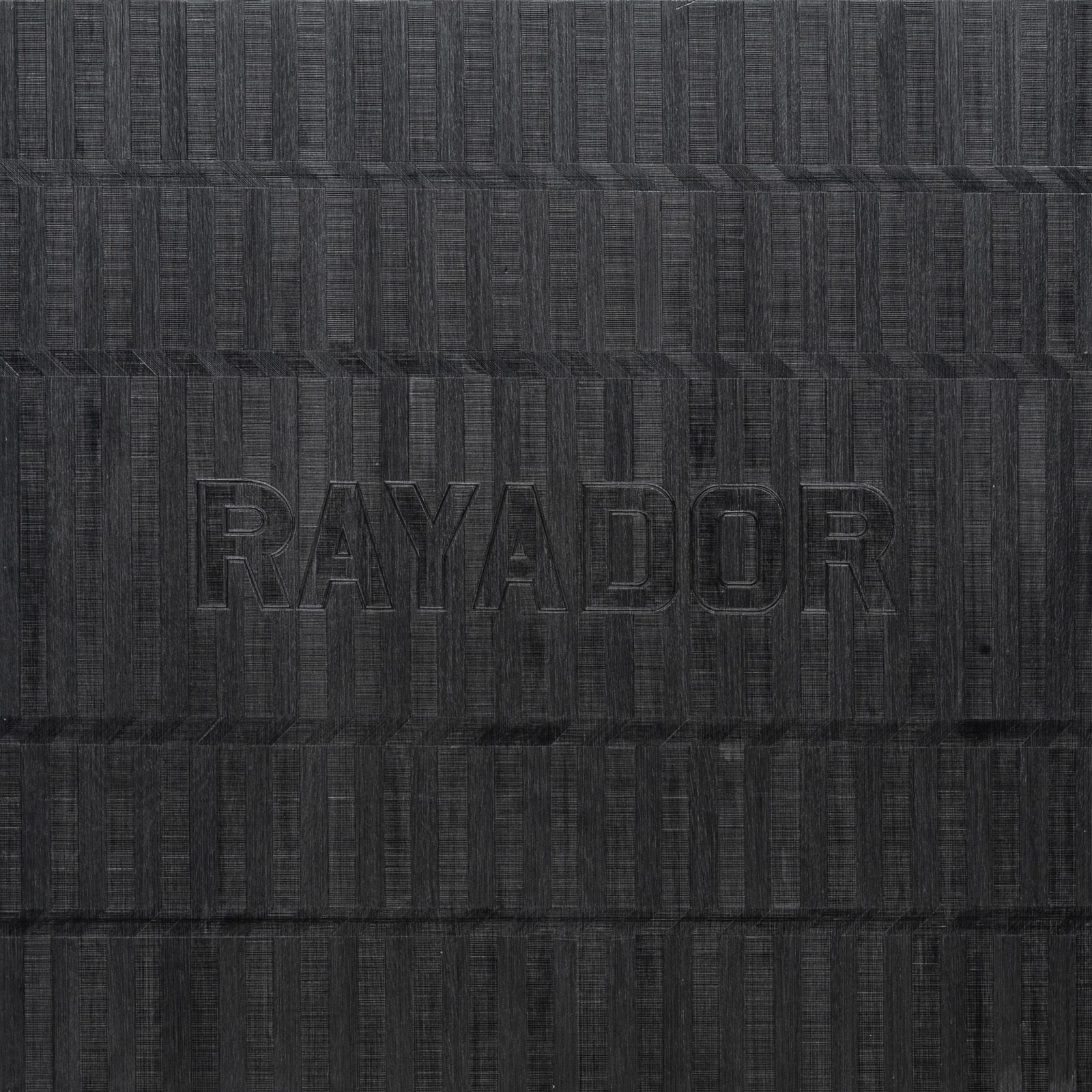 Francisco Morales, "Rayador", 2012 / 2013