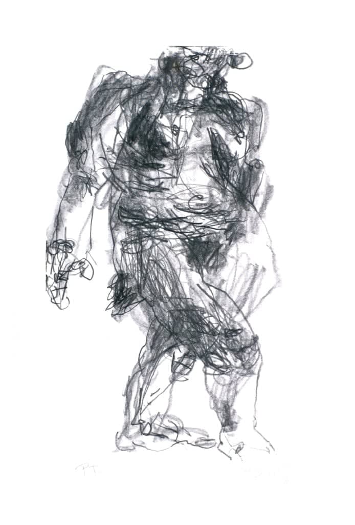 Carolina Tangassi, Sin título, 2008