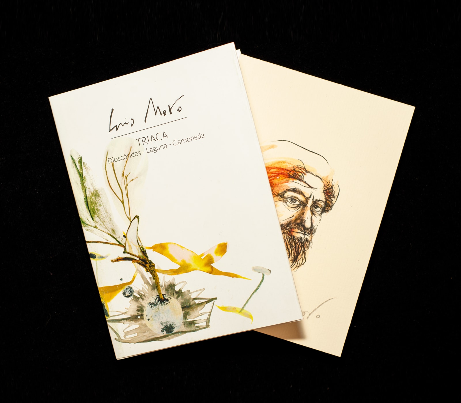 Luis Moro, Catálogo TRIACA Dioscórides - Lauguna - Gamoneda + "Retrato de Laguna", 2024