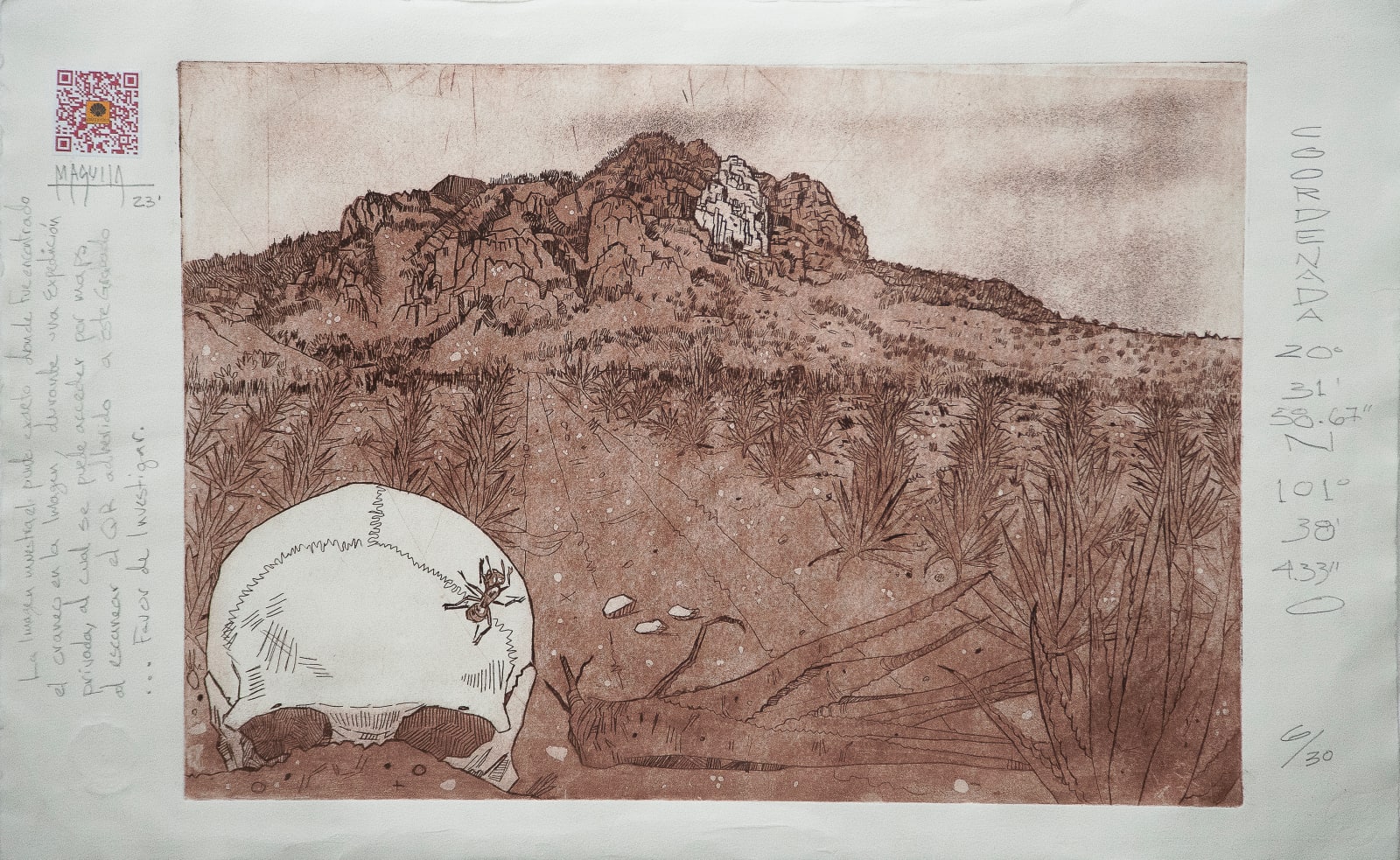 Fernando M.aguila, "Coordenada"