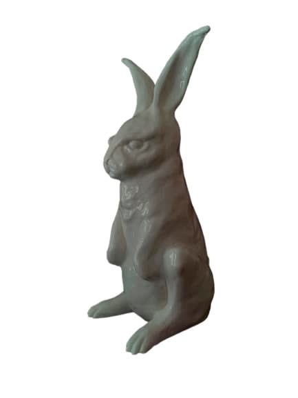 Sofía Crimen, "Conejo blanco miniatura" , 2023