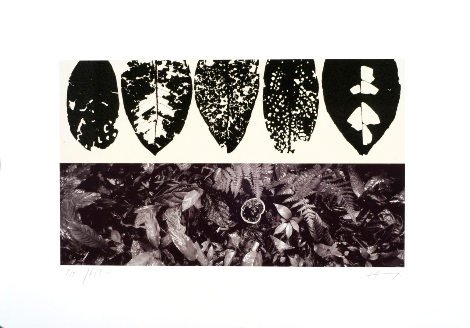 Jan Hendrix/Javier Hinojosa, "Respeto y tolerancia", 2004