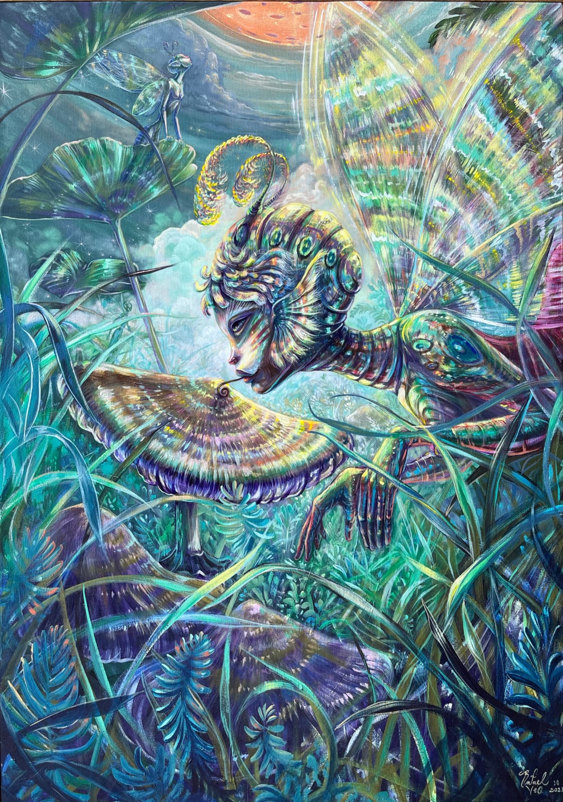 Rafael Vazquez Orozco, “Noche de Hadas”, 2023