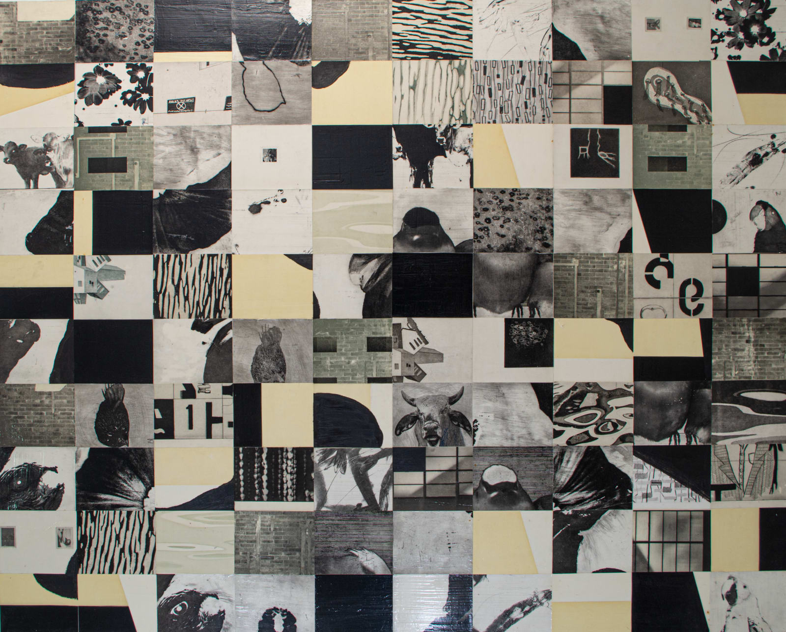 Pedro Escapa, Sin título, 2014