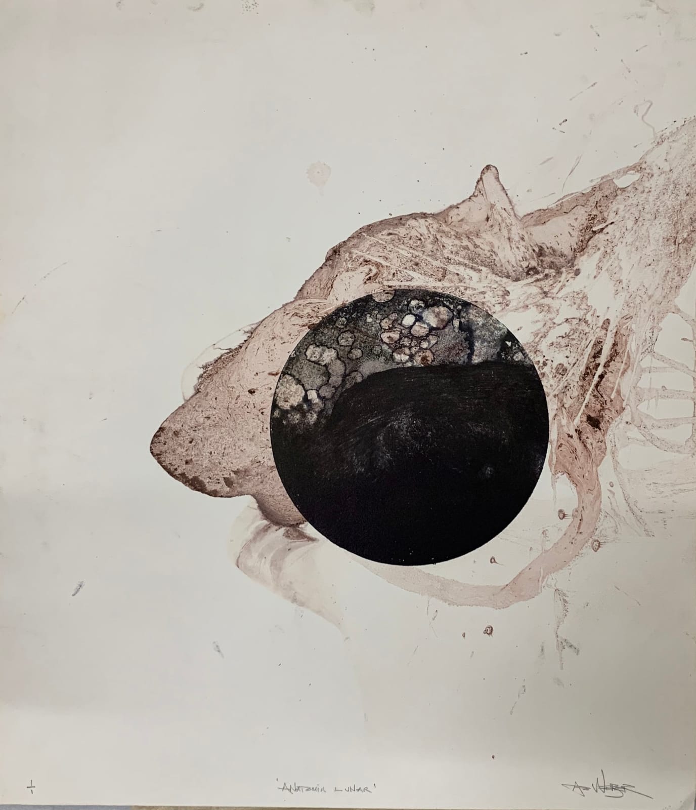 Adolfo Weber, Random circle