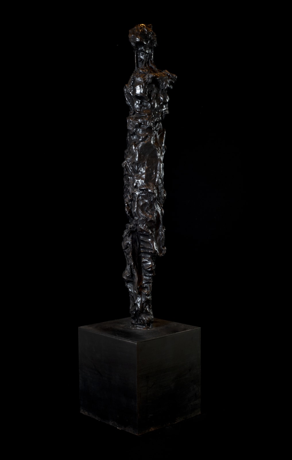 Roberto Cortázar, "Esposa V", 2009
