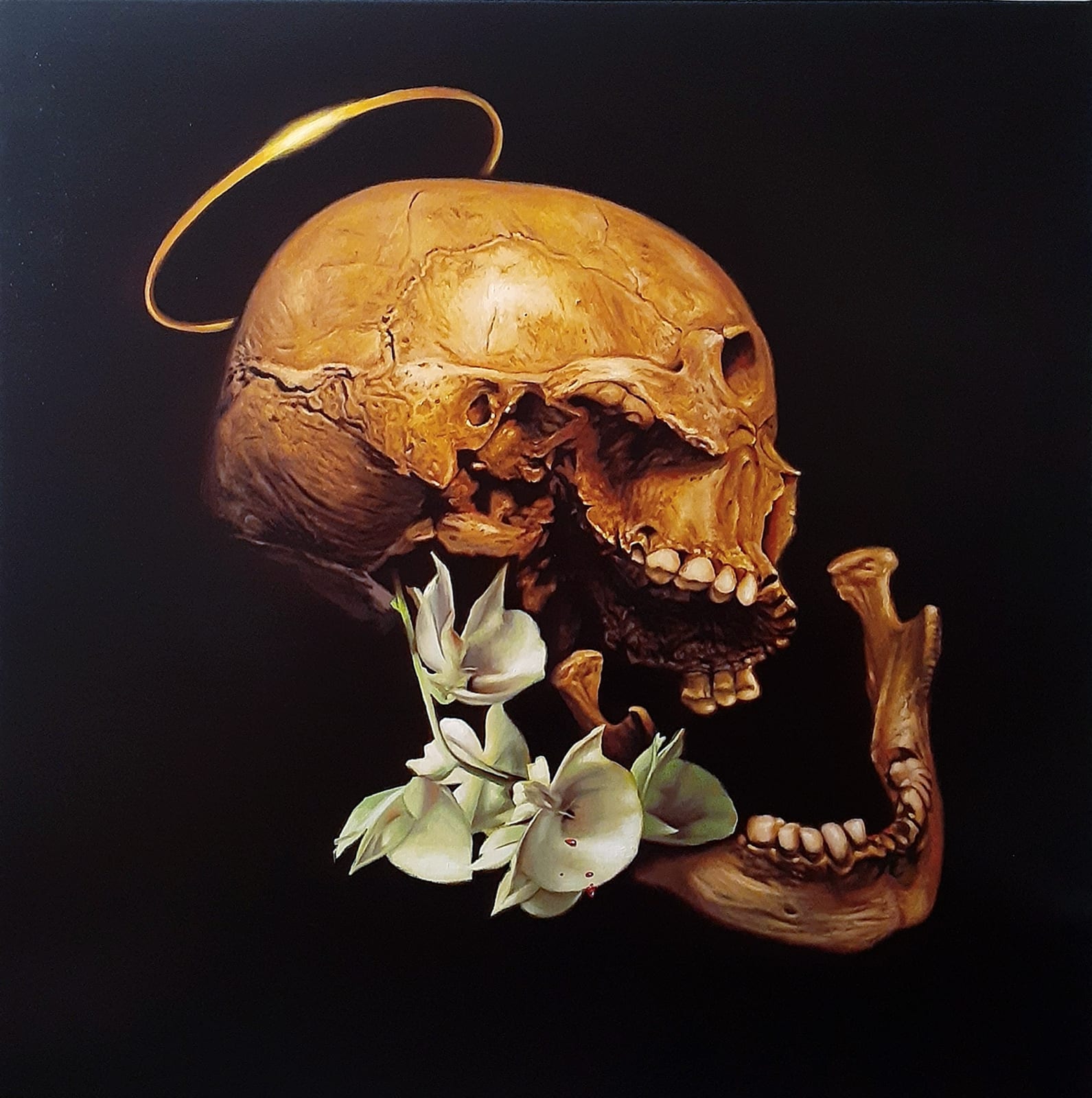 Carlos Cortes, "Lázaro", 2024