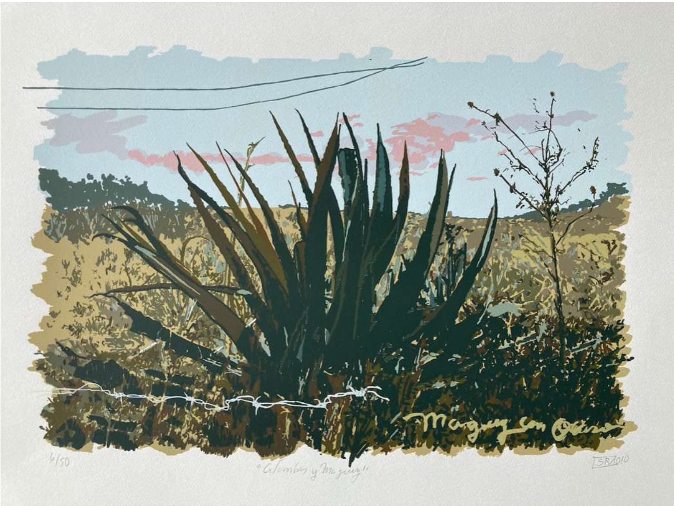Salvador Rodríguez, Alambres y maguey, 2023