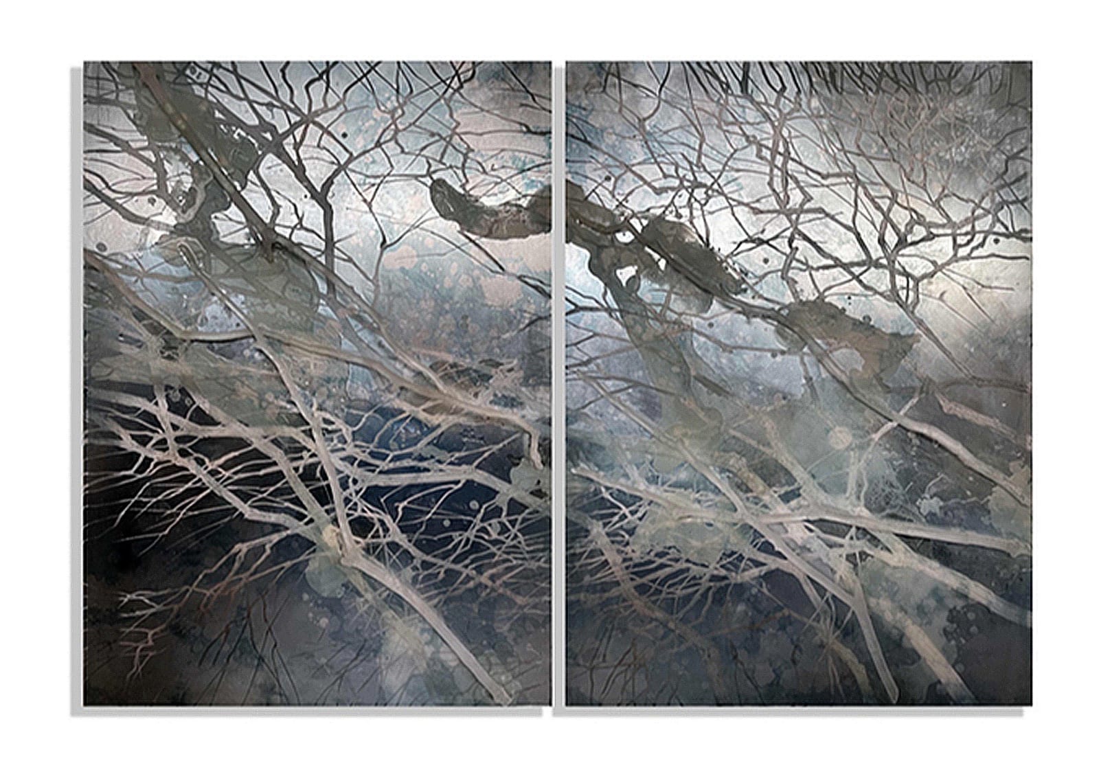 CLAUDIA MEYER, RAMUSIA I & II