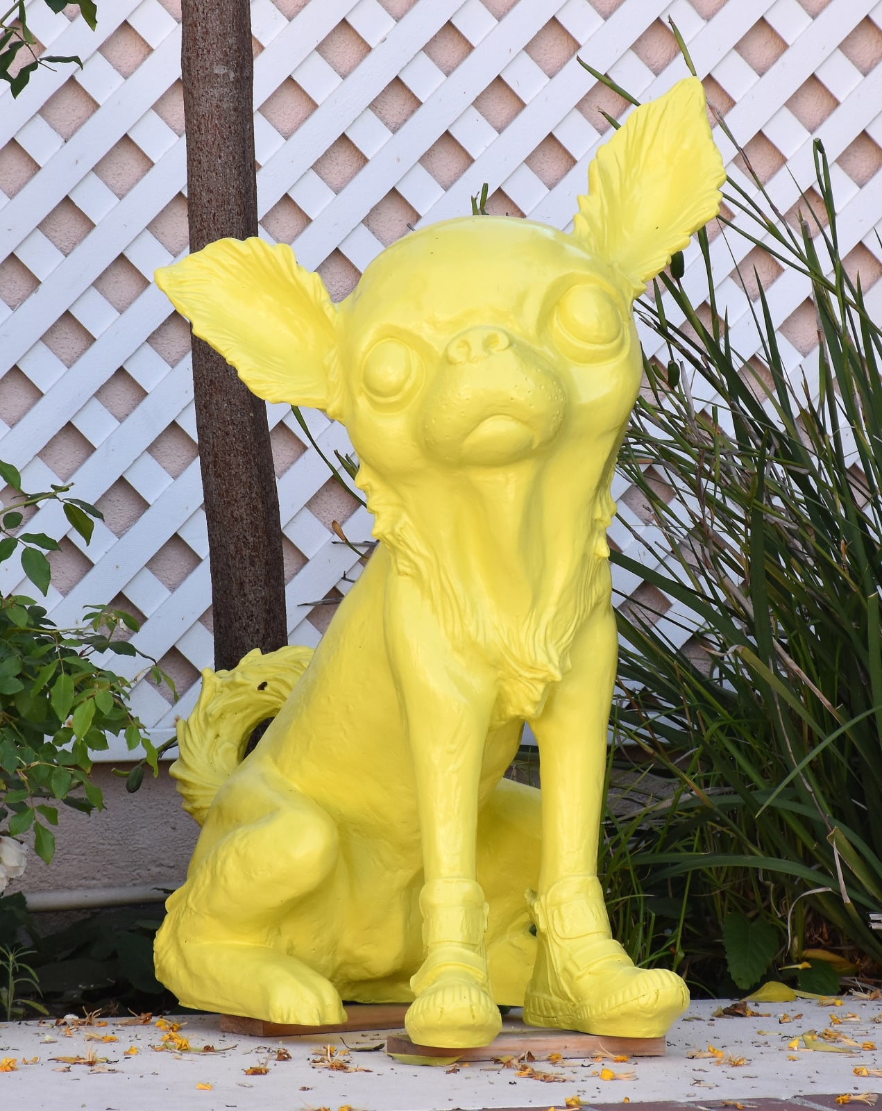 William Sweetlove, Cloned Chihuahua with shoes, 2008