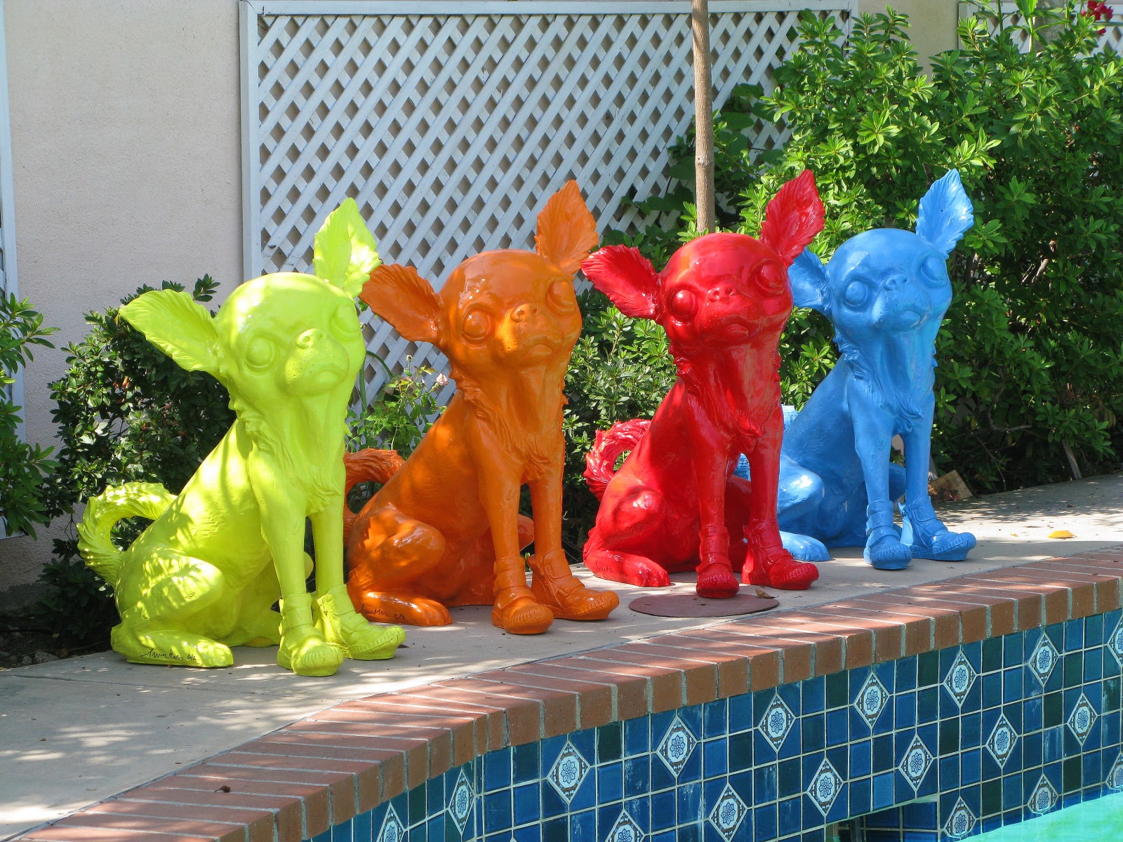 William Sweetlove, Cloned Chihuahua with shoes, 2008