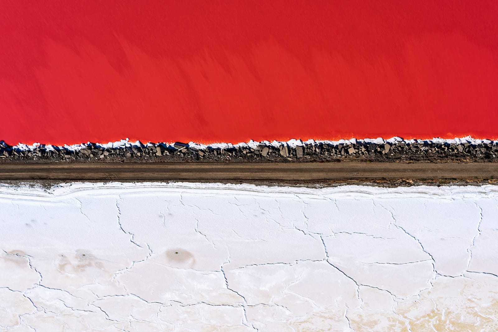 DONN DELSON, Tightrope