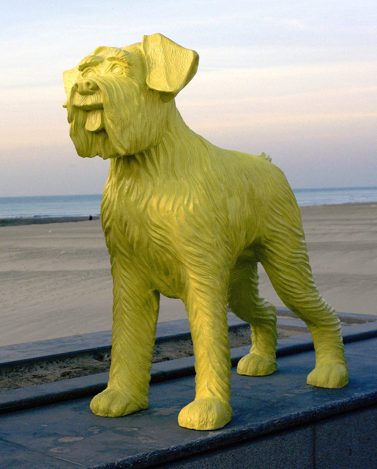William Sweetlove, Cloned large YELLOW SCHNAUZER, 2005