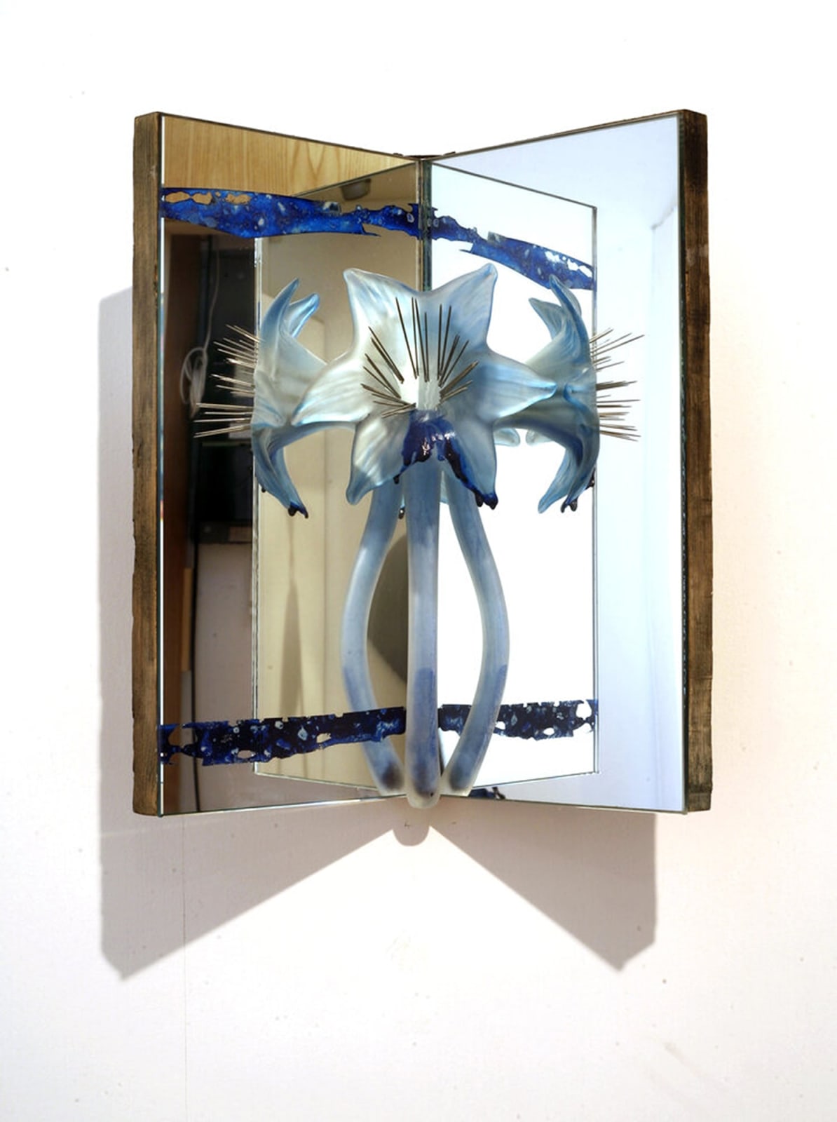 MIRA MAYLOR, Zionism, 2007