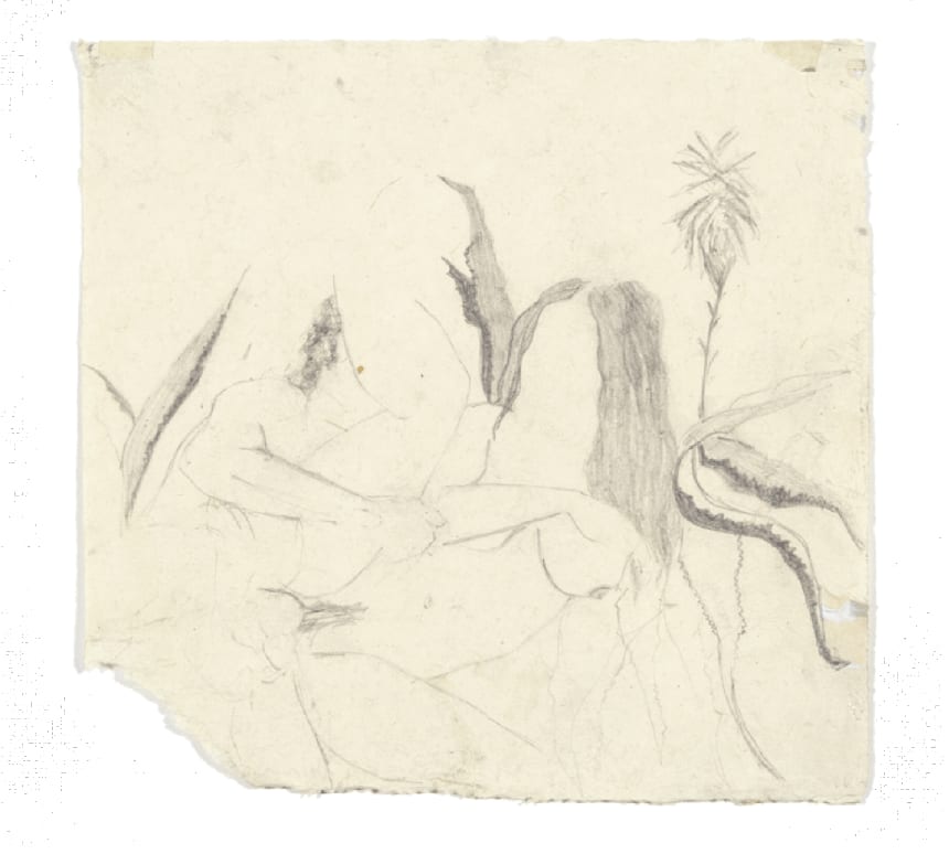 Tamara Al-Samerraei , Untitled 4, 2014