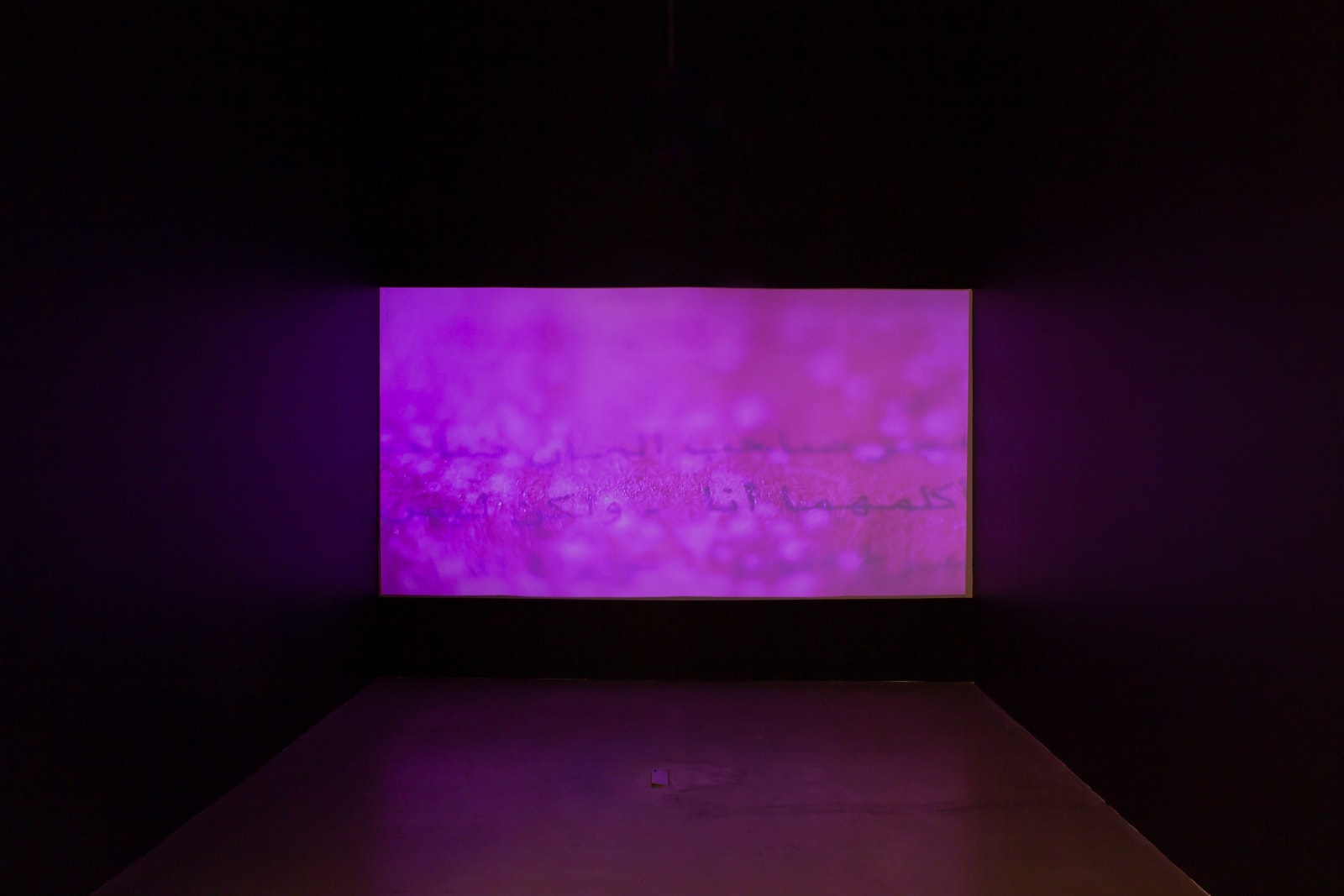 Vartan Avakian, Your Skin Shall Bear Witness Against You, 2018