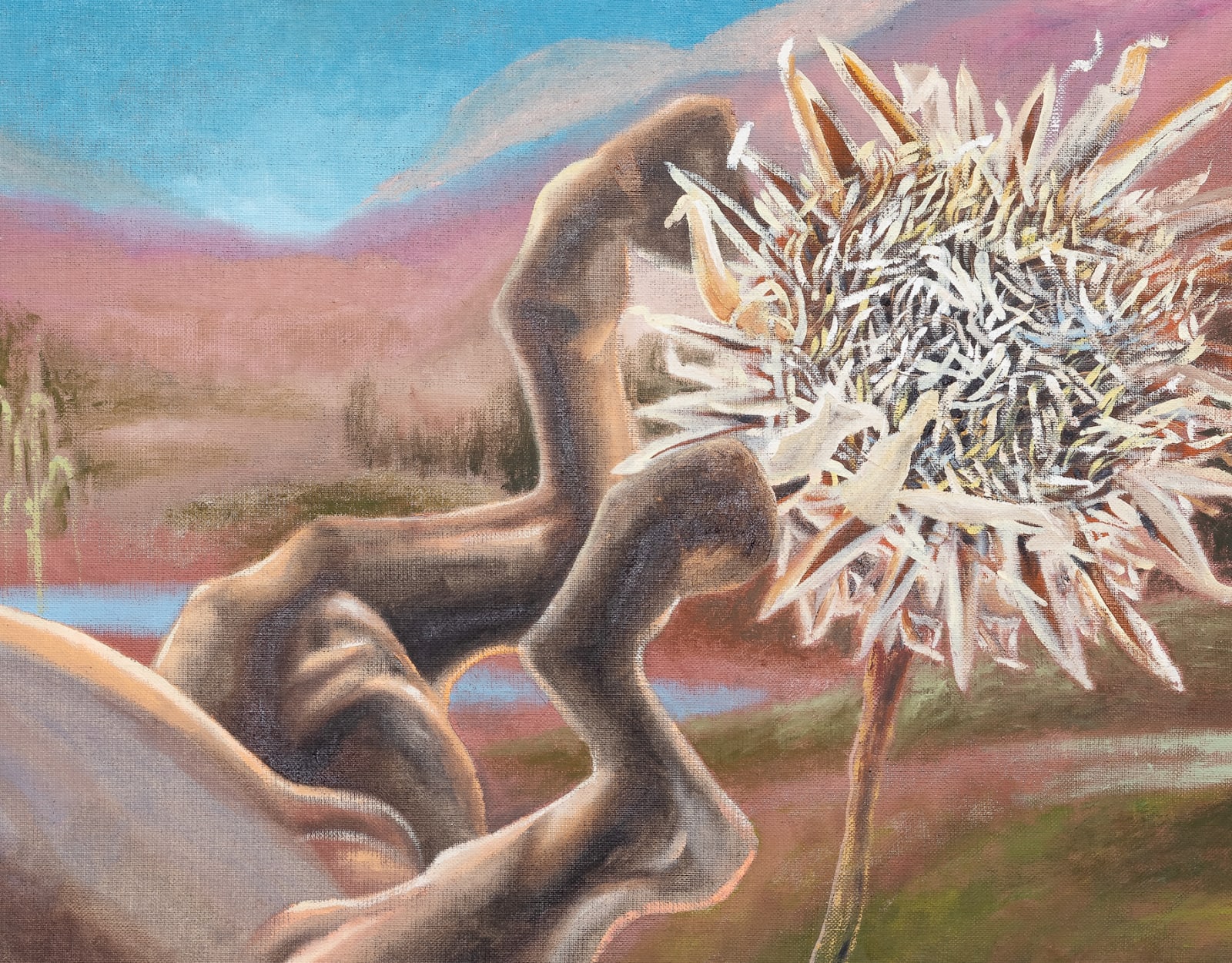 Ángela Ferrari, What about dreams in, 2025