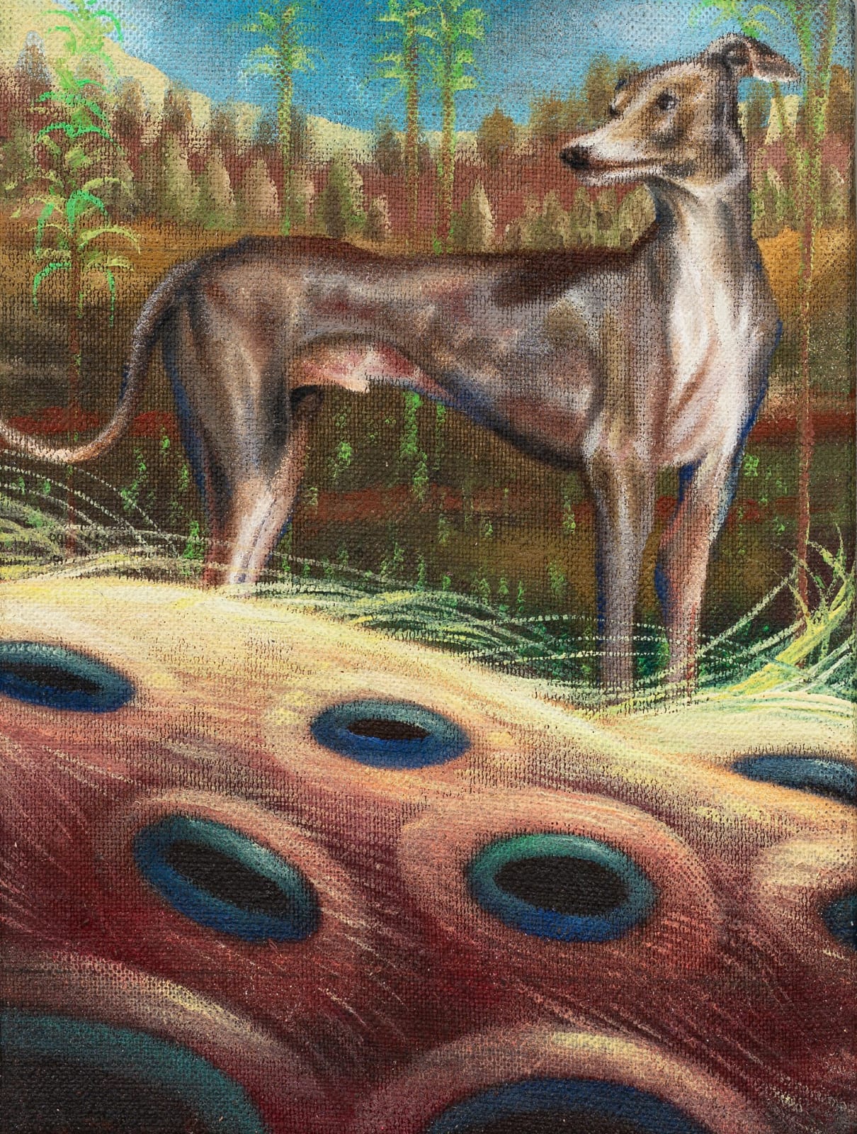 Ángela Ferrari, Las palabras que no sé extrañar, 2025