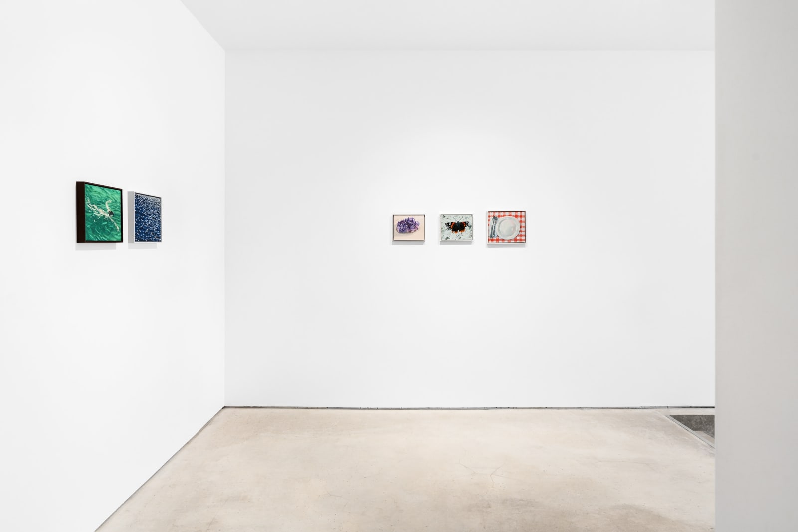 Claudia Keep, September 7th, 10:06 AM, Red Admiral on the Sidewalk, 2023