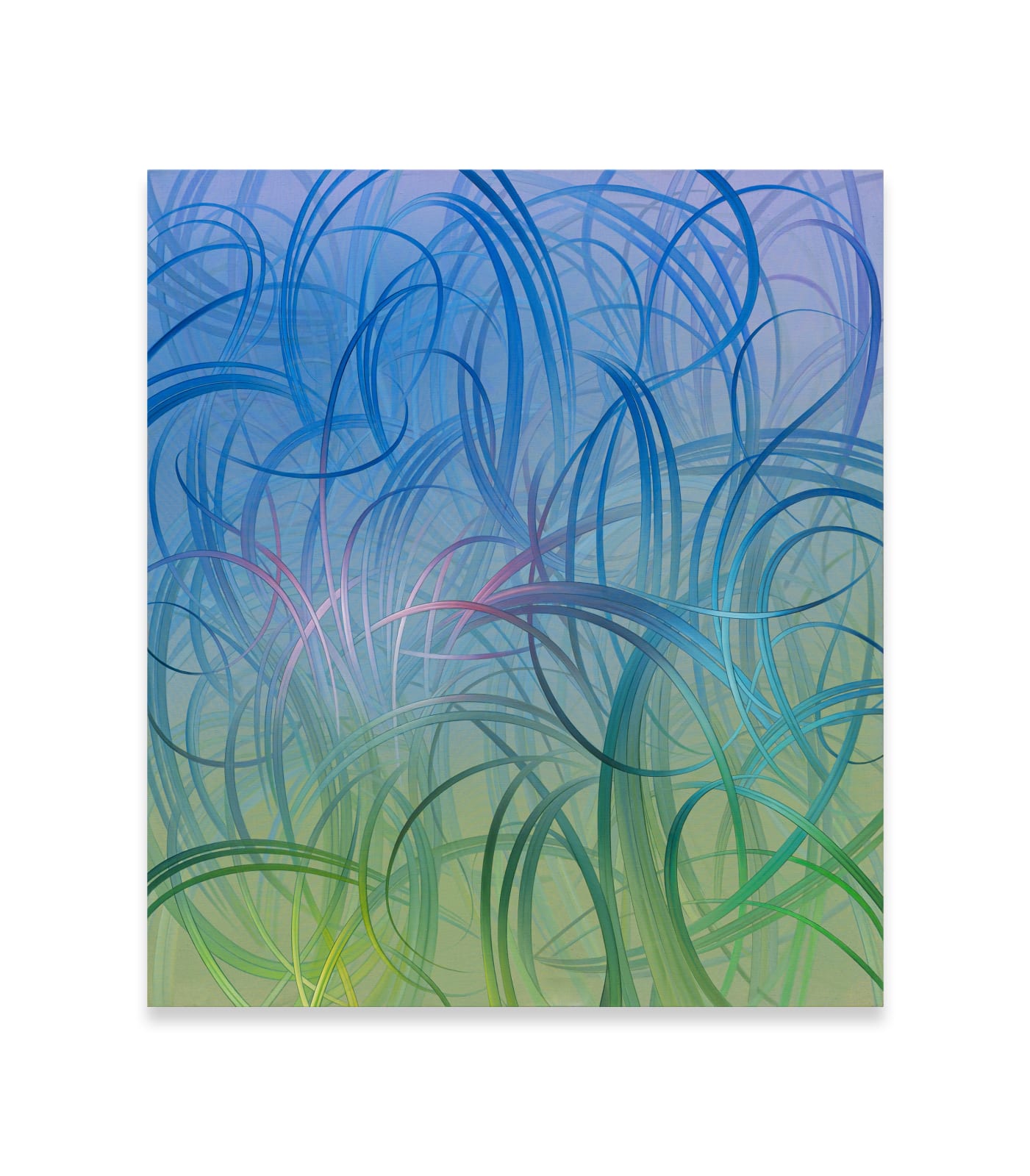 Sofia Nifora, Three seasons in blue, 2024