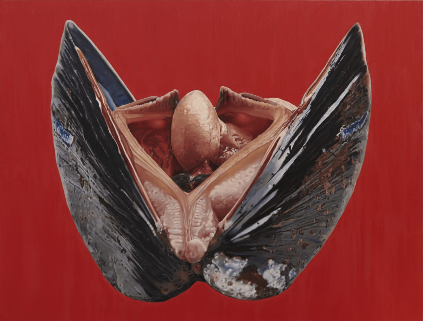 Fawn Rogers, Free of God, 2021