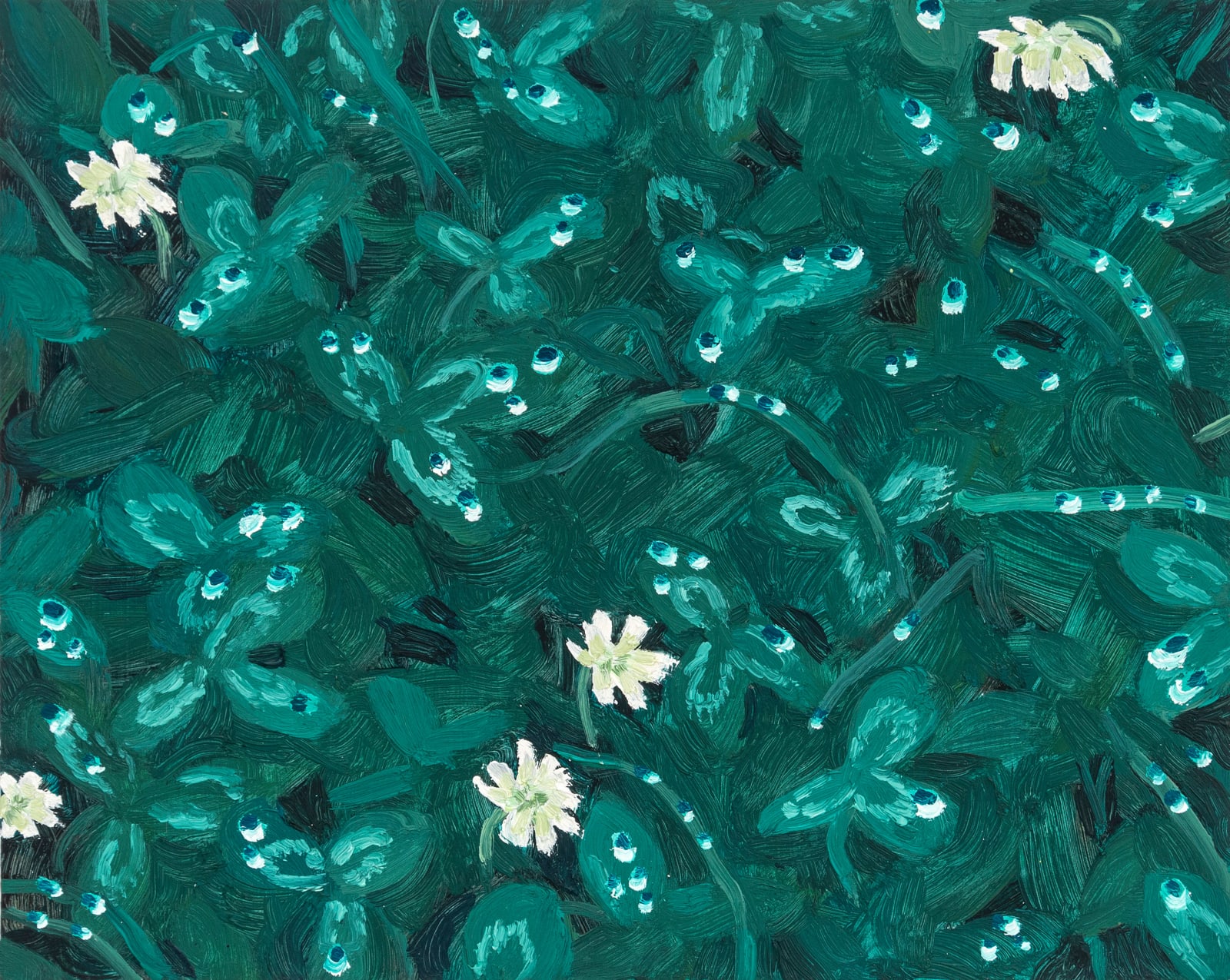 Claudia Keep, White Clover, 2022