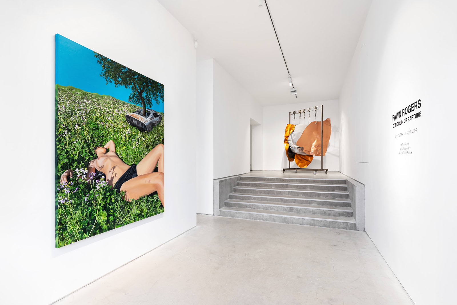 Fawn Rogers, Car Meat (Akhal Teke), 2023