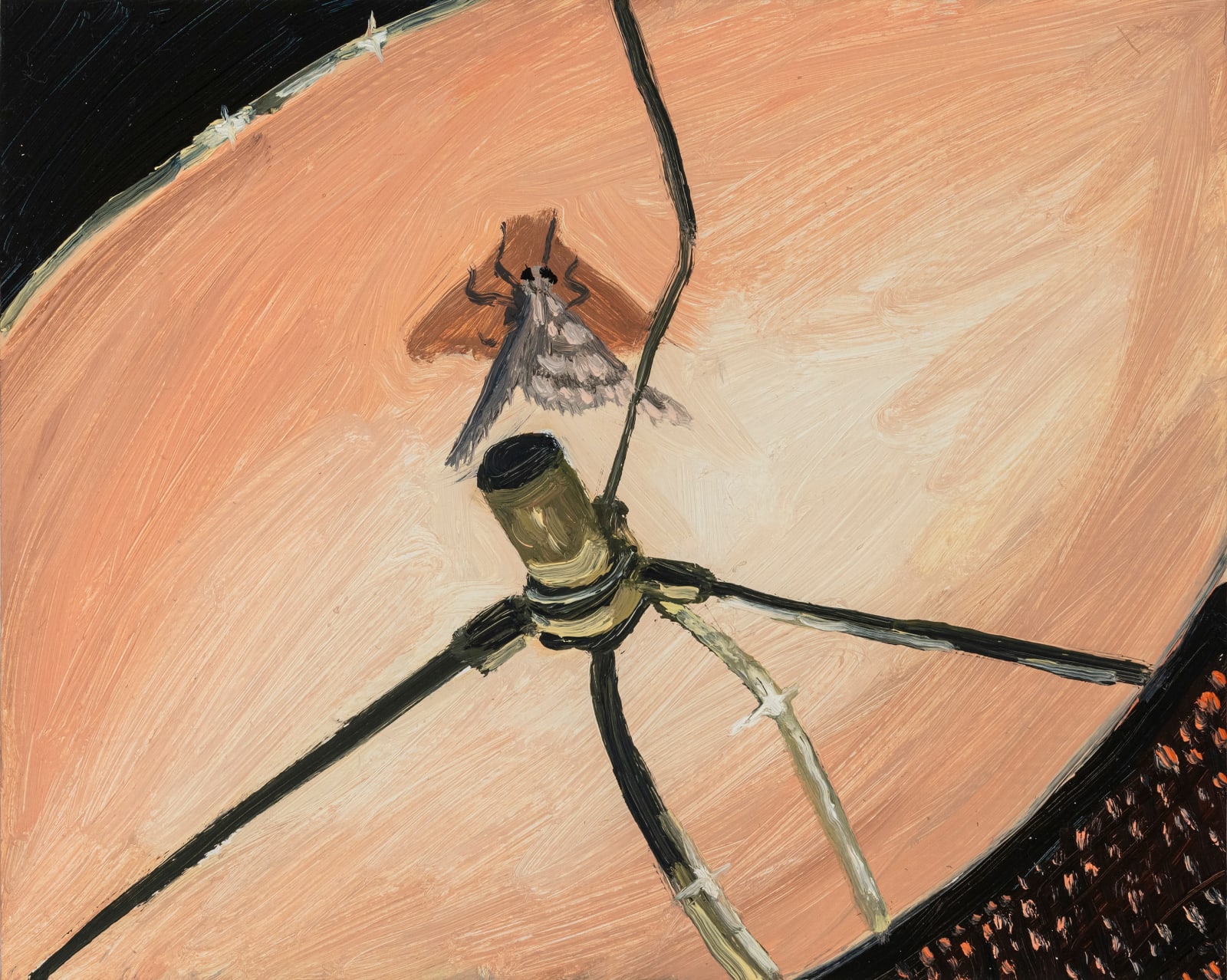 Claudia Keep, August 23rd, 11:31 PM, Dependable Rather Than Predictable, 2024