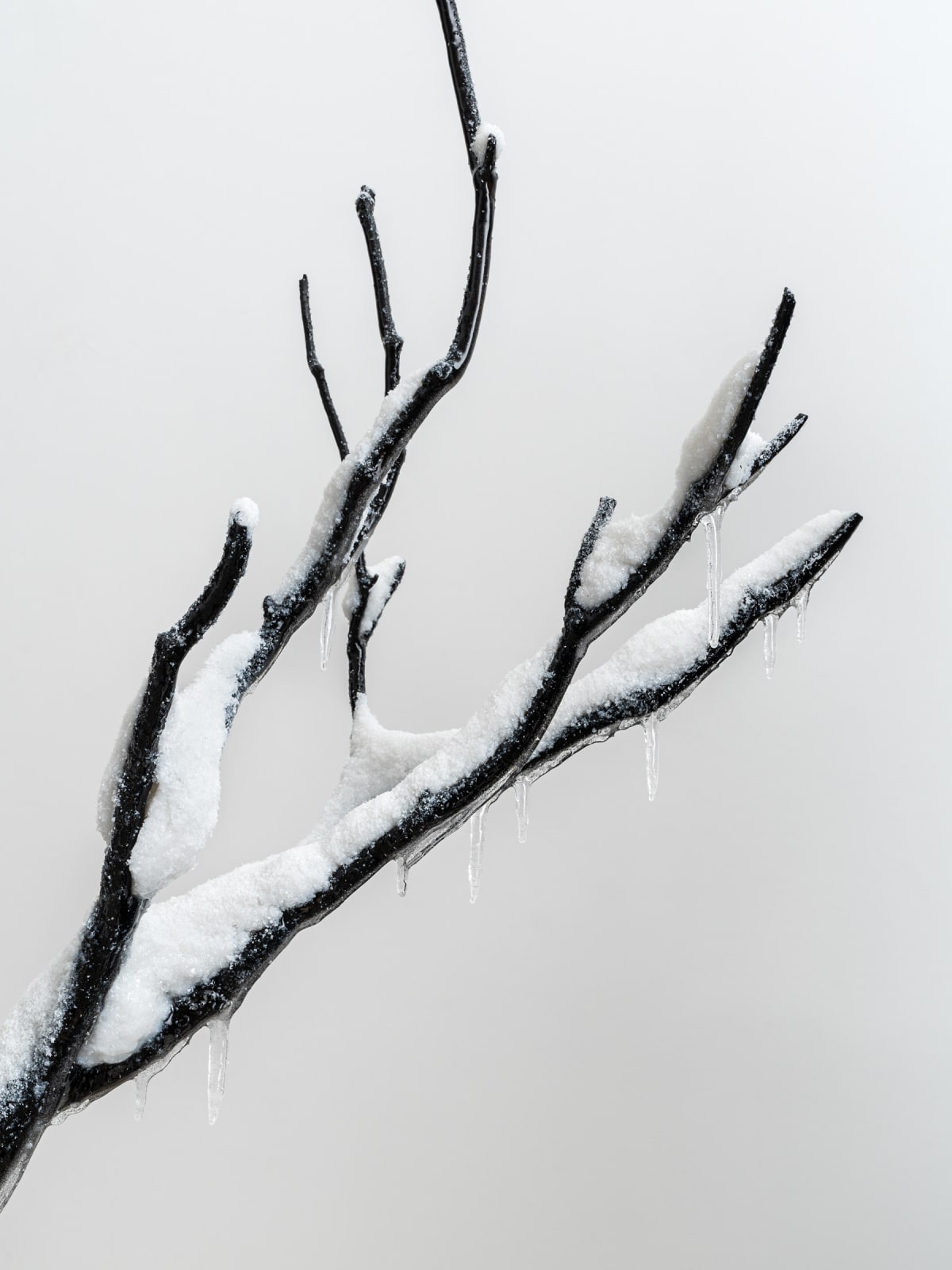 Laurent Pernot, Still life – Eternal winter, 2025