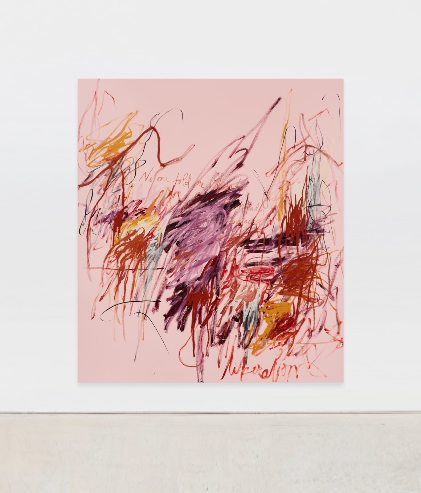 a'driane nieves, No One Told Me Liberation Comes With Such Tender Bruising, 2022