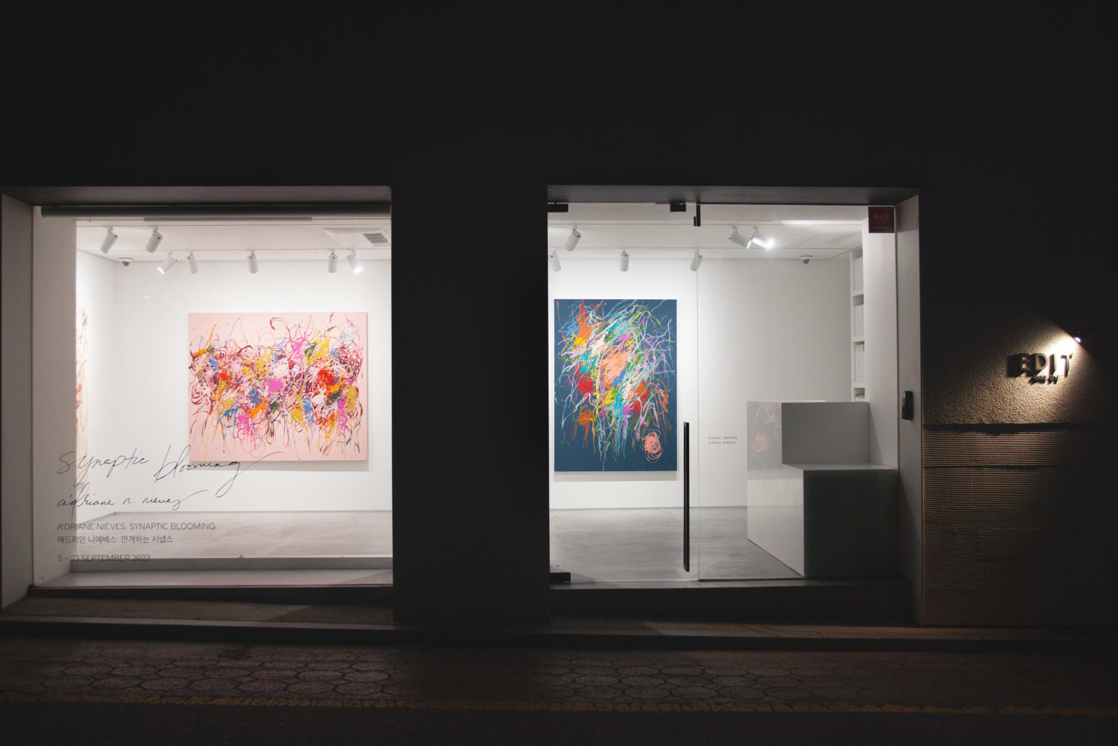 a'driane nieves, My Synaptic Garden is Always in Full Bloom, 2023