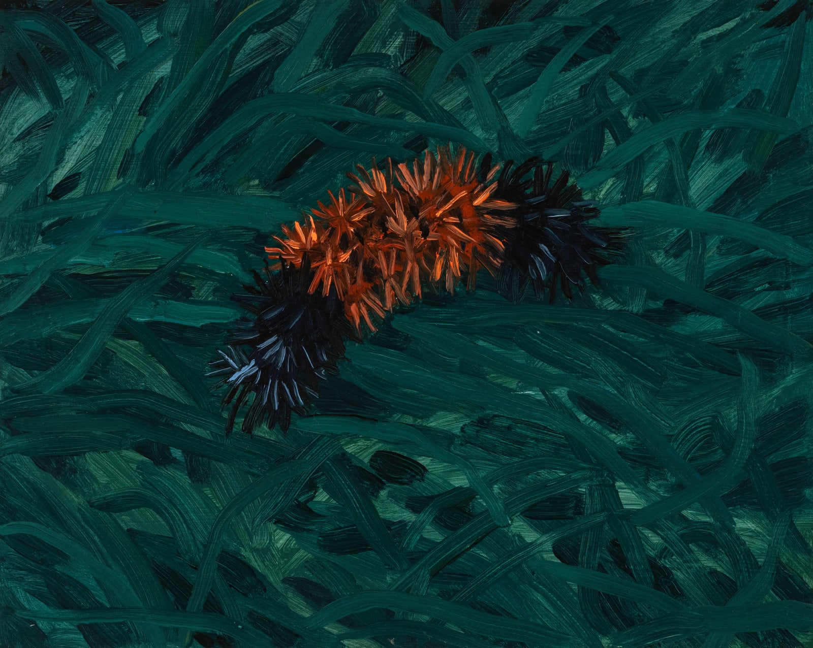 Claudia Keep, October 1st, 5:00 PM, Wooly Bear, 2023