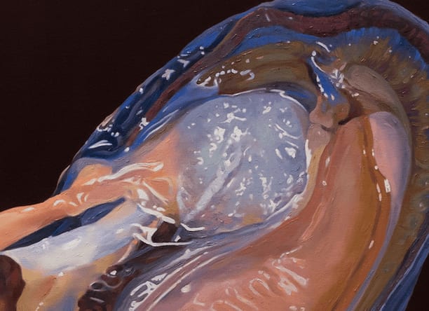 Fawn Rogers, Speciagua, 2021