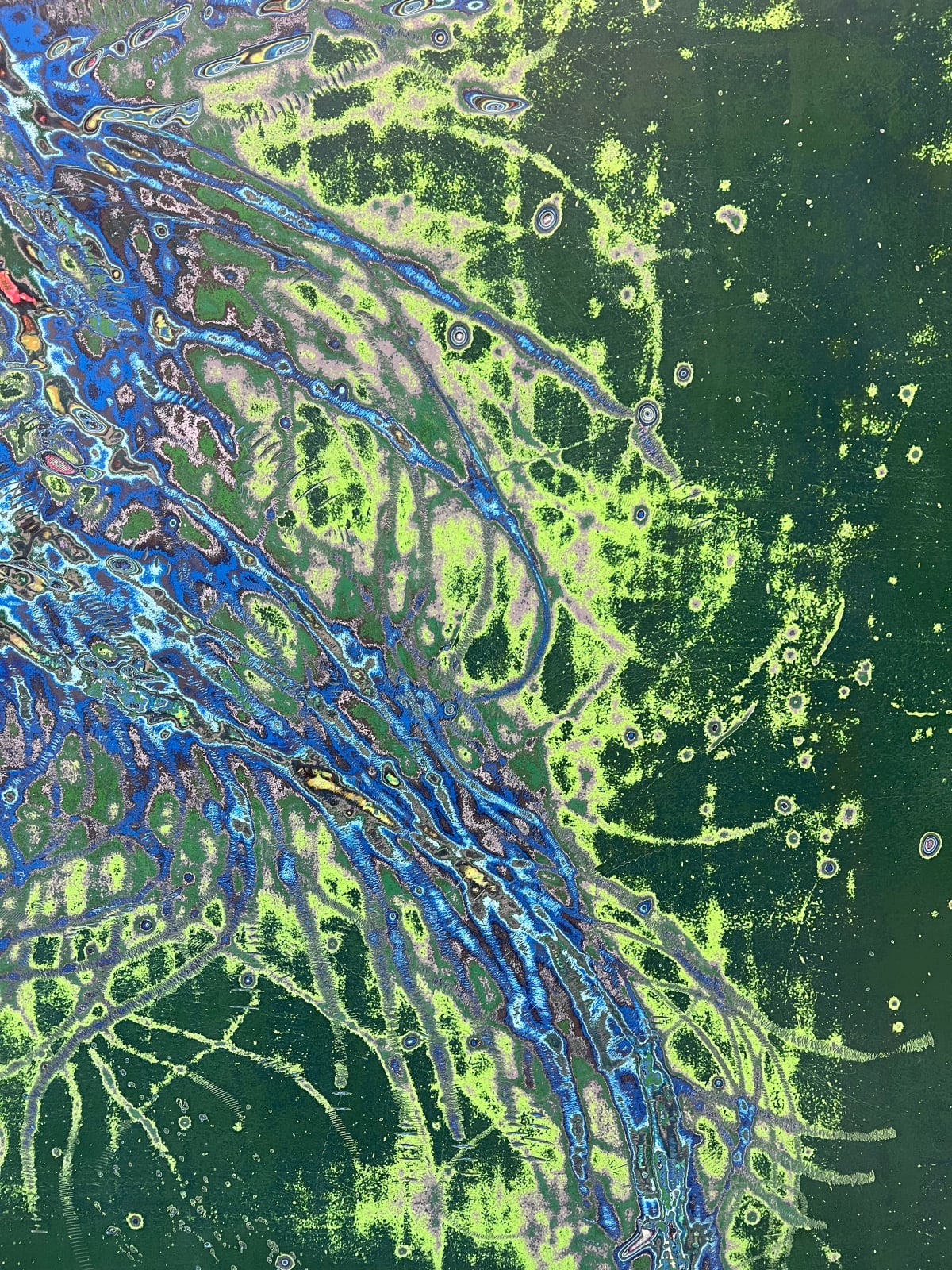 Dennis Miranda Zamorano, Cómo una criatura marina, 2024