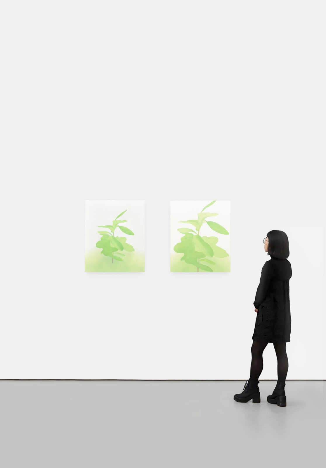 Manuel Stehli, Untitled (Ficus Lyrata I, Ficus Lyrata II), 2021