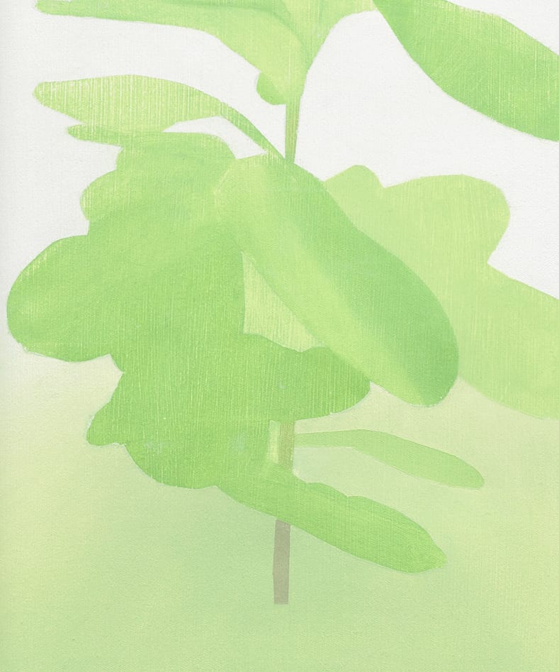 Manuel Stehli, Untitled (Ficus Lyrata I, Ficus Lyrata II), 2021