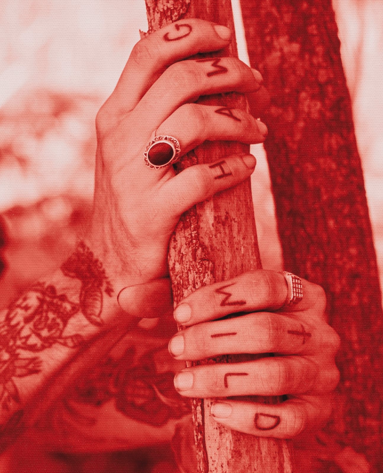 Thomas Block Humery, Hands in Red, 2023