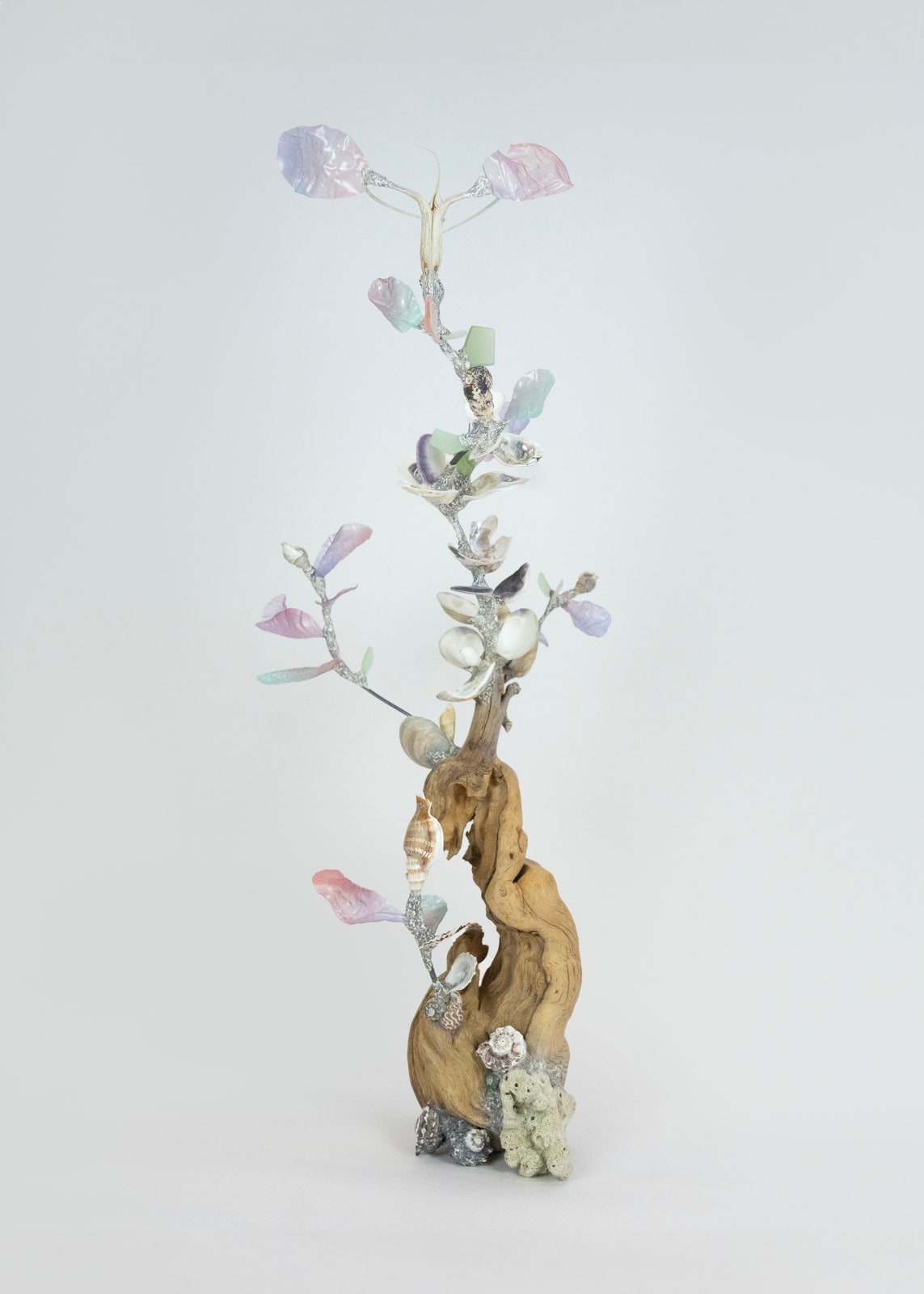 Shuyi Cao, Spiraling Words, 2025