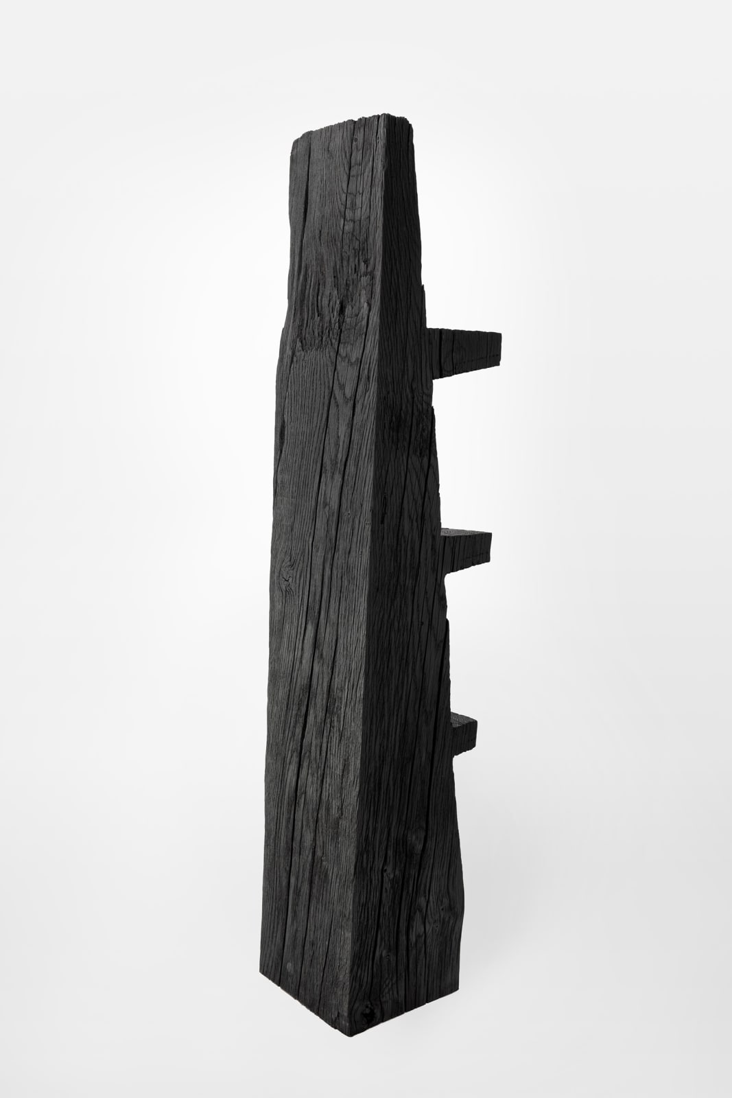 Patrick Kim-Gustafson, Ladder Shelf, 2024