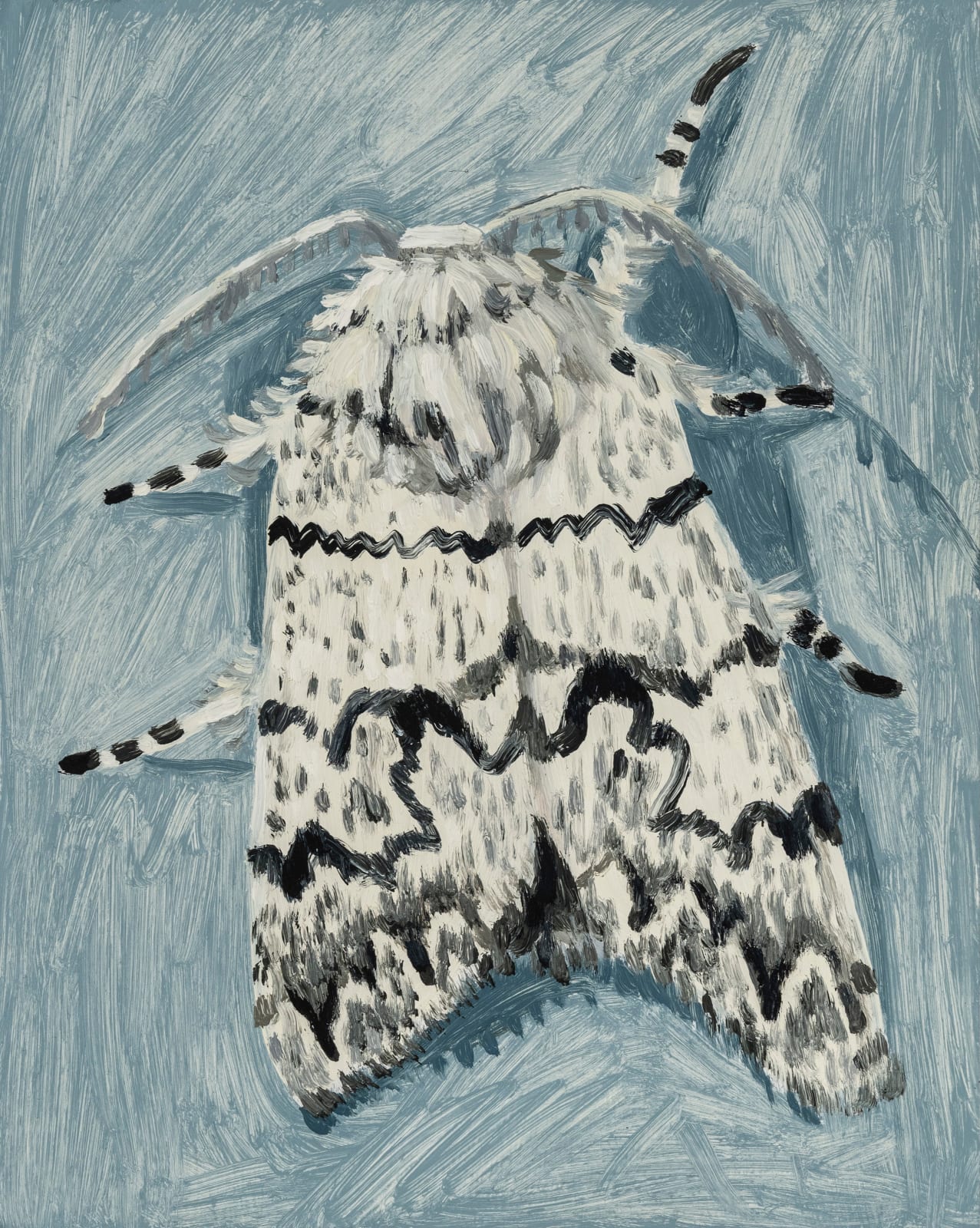 Claudia Keep, July 23rd, 11:35 PM, American Dagger Moth, 2024