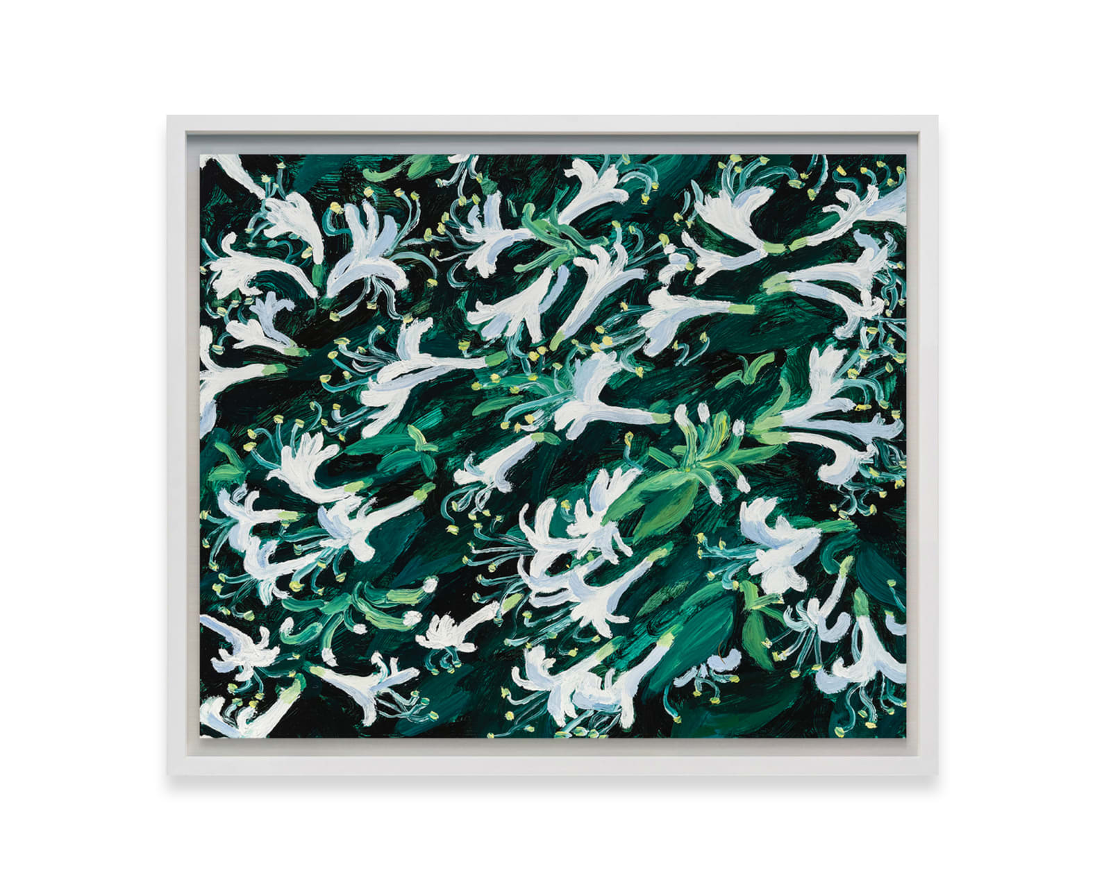 Claudia Keep, Honeysuckle, 2024