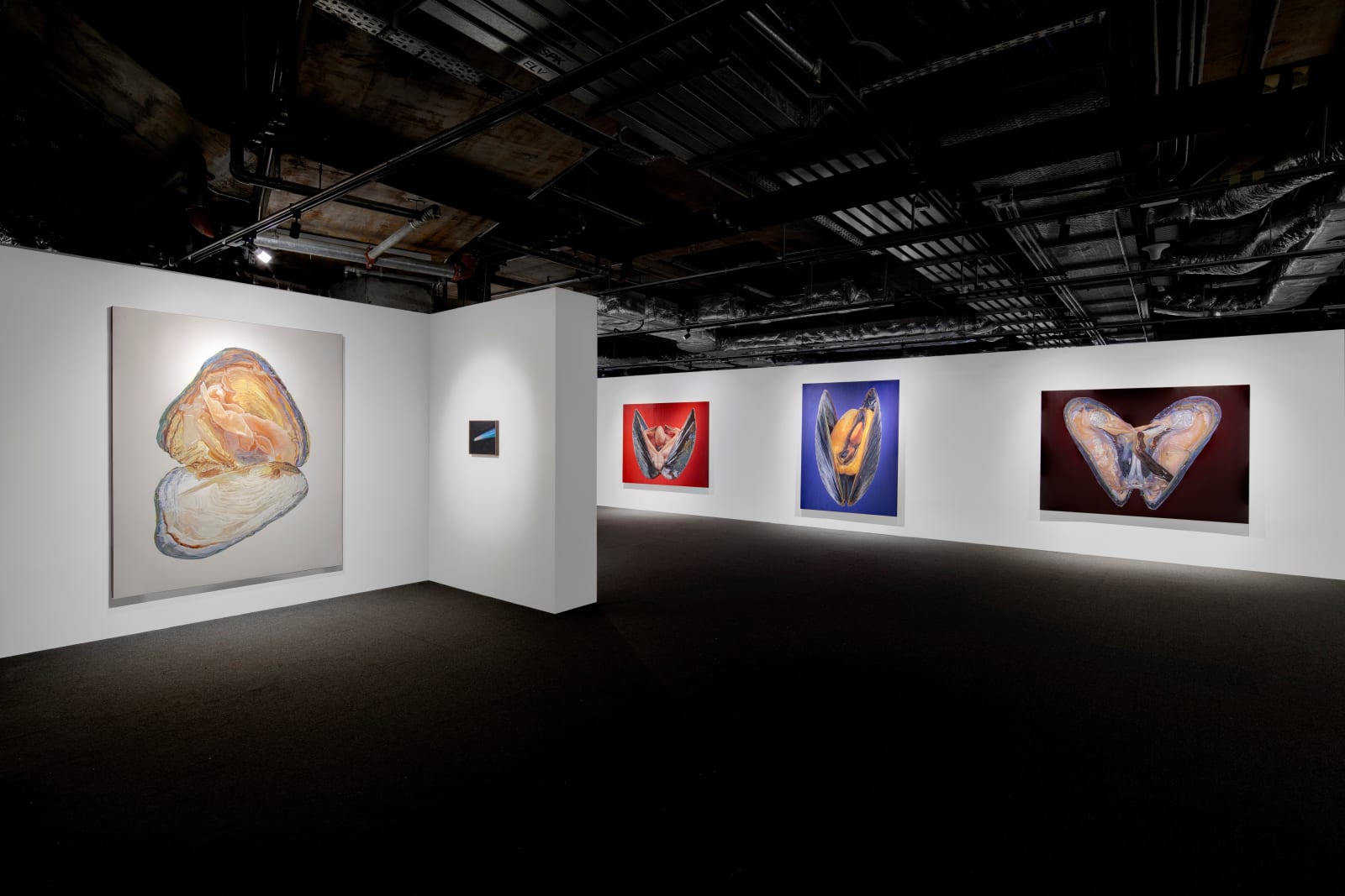 Fawn Rogers, Comet Tail #7, 2022